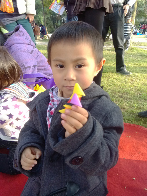 17别看我小，这是最迷你的啄木鸟_乐为塑菱