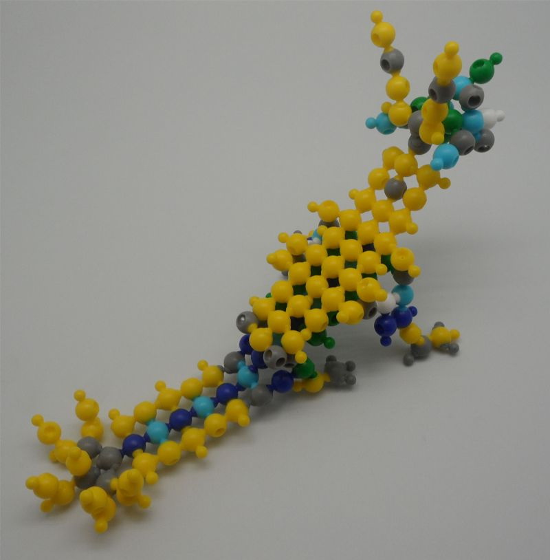 康桥中学手工创意坊乐为魔珠造型作品,类蜥蜴动物